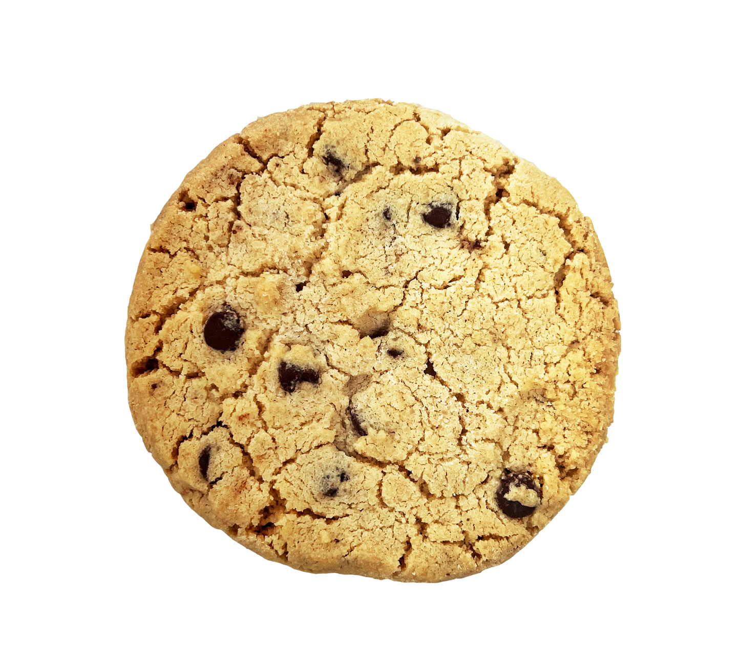 Chocolate Chip Chinese Cookie