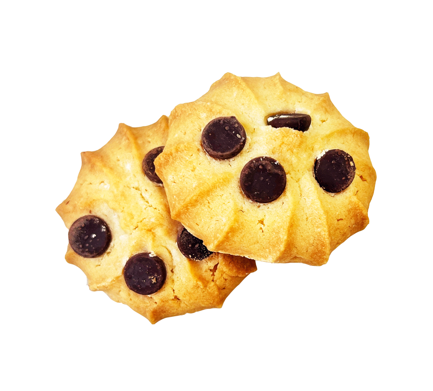 Chocolate Chip Butter Cookie