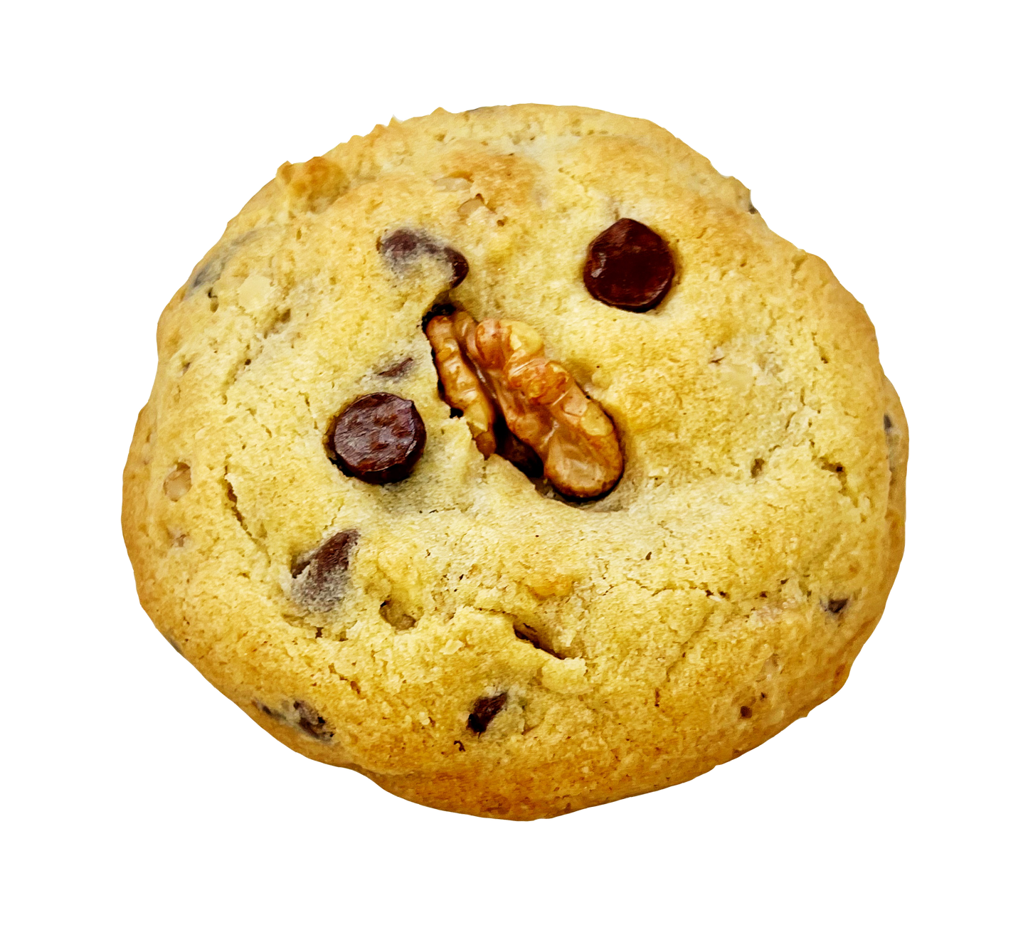 Chocolate Walnut 4oz