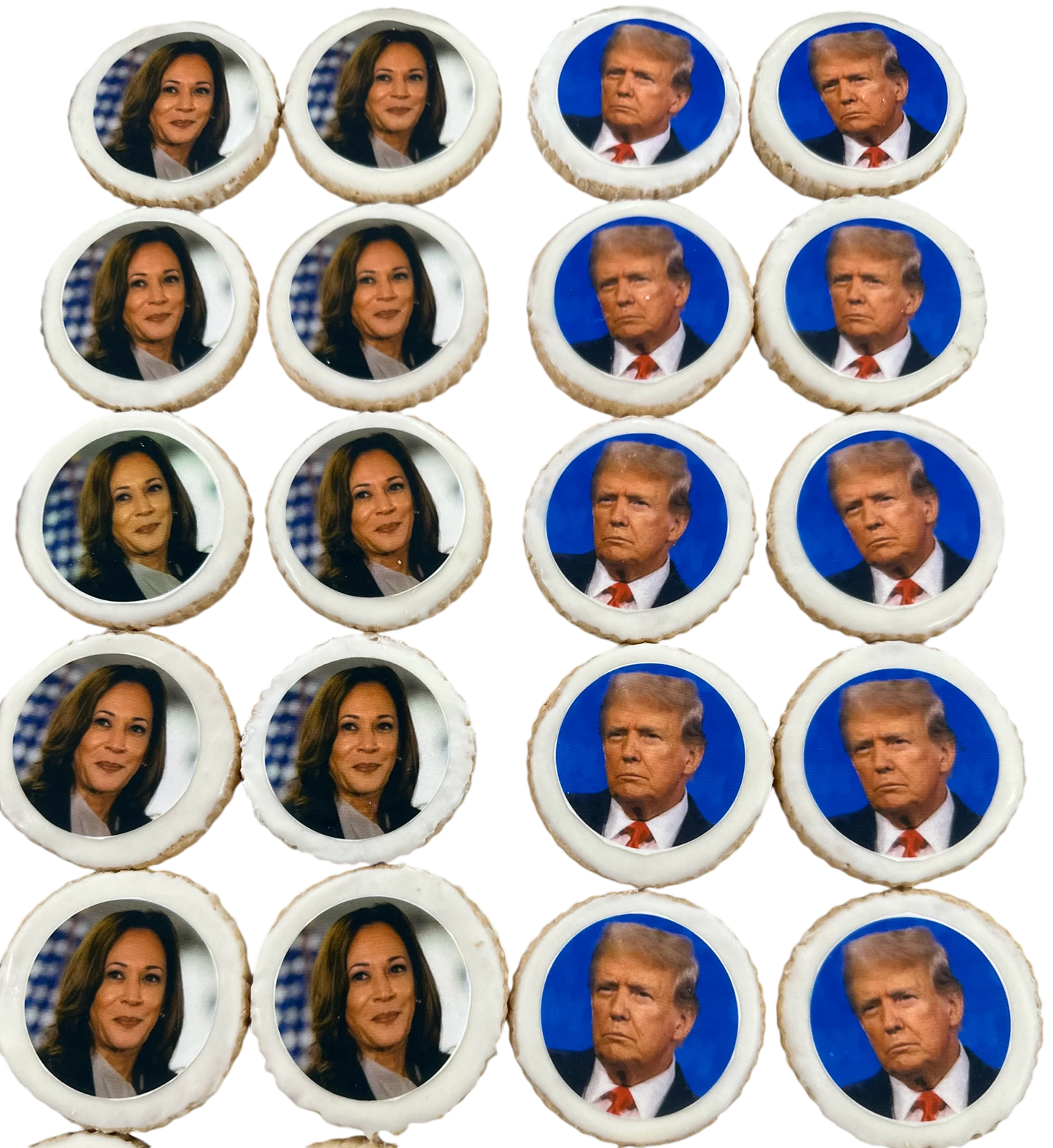 Presidential Candidate Cookie